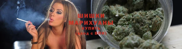 ГАЛЛЮЦИНОГЕННЫЕ ГРИБЫ Алексеевка