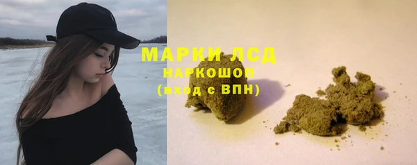 ГАЛЛЮЦИНОГЕННЫЕ ГРИБЫ Алексеевка