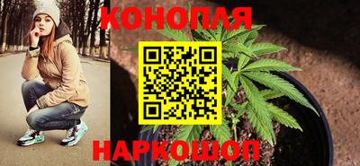 гидропоника Коммунар