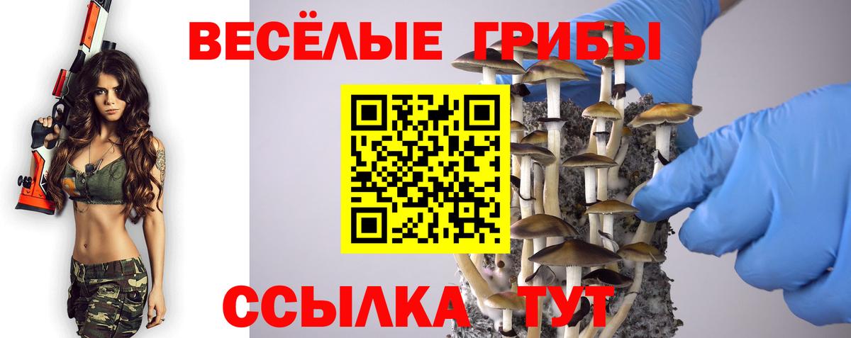 Псилоцибиновые грибы мицелий Краснознаменск