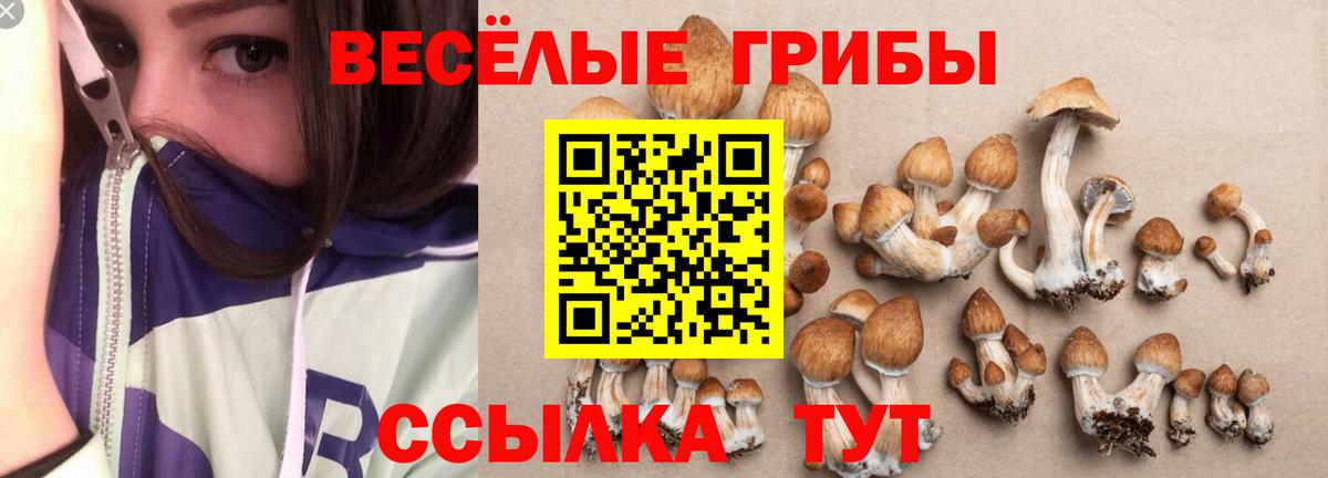наркотики  Вход с VPN  Галлюциногенные грибы Magic Shrooms  Краснознаменск  Галлюциногенные грибы прущие грибы 